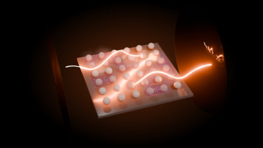 Quantum Science of Light and Matter (Schmidt)