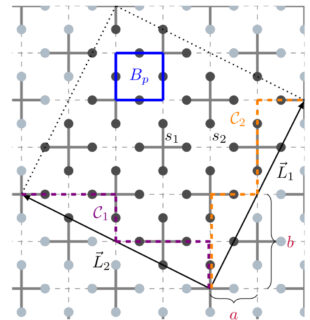 Zum Artikel "New preprint „Absence of topological order in the U(1) checkerboard toric code“"